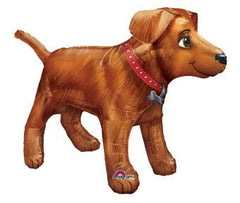 Same Day Balloon Delivery Near Me. Make An Order & Pay Online