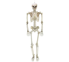 Life-size skeleton Halloween decoration with bendable joints, off-white bones, 60-inch posable prop for haunted house and spooky displays