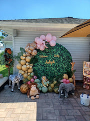 Same Day Balloon Decor Delivery Near Me. Make An Order & Pay Online