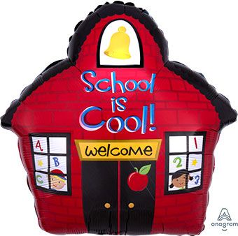 SCHOOL COOL 20INC