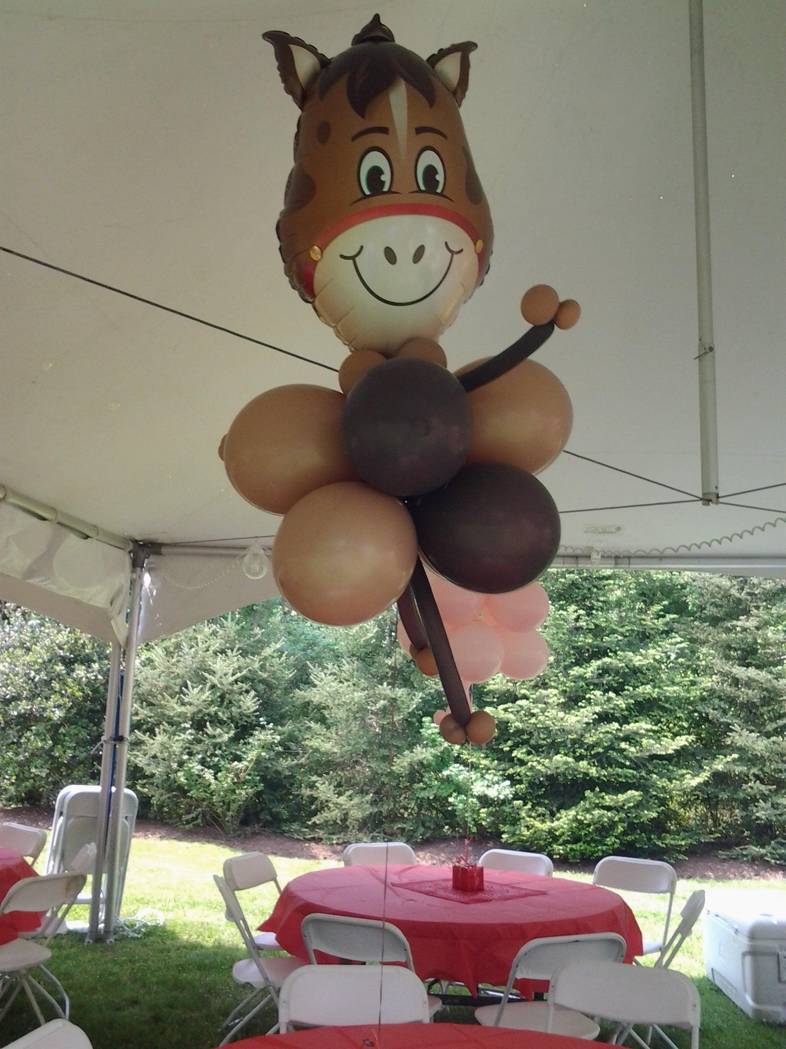Same Day Balloon Decor Delivery Near Me. Make An Order & Pay Online