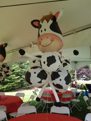 Same Day Balloon Decor Delivery Near Me. Make An Order & Pay Online