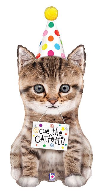 LRG SHP PARTY HAT KITTEN CUE THE CATFETTI 41"