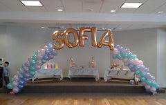 Same Day Balloon Decor Delivery Near Me. Make An Order & Pay Online